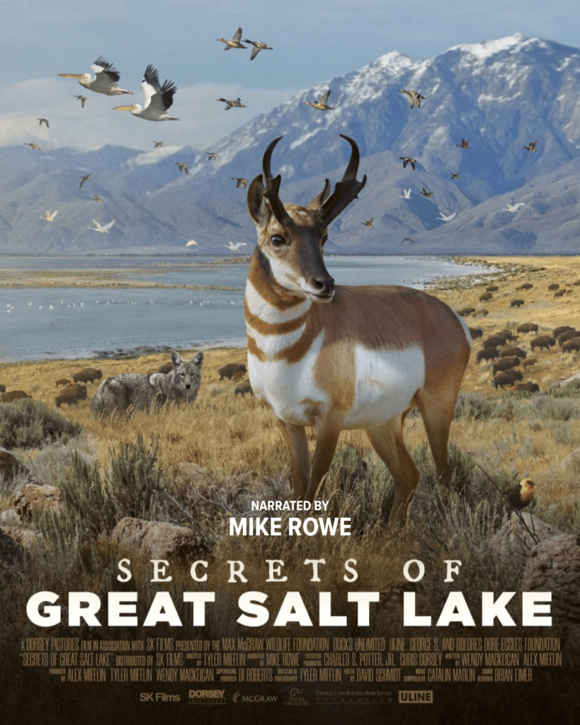 Secrets of Great Salt Lake Poster
