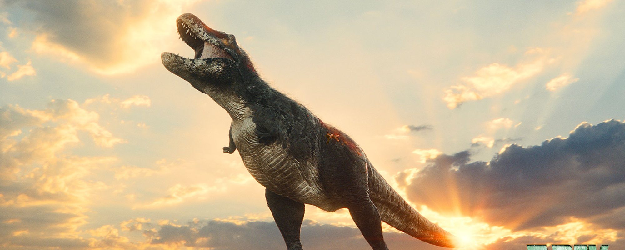 Adult-Rex-Sunset-Burst-1600x979-1