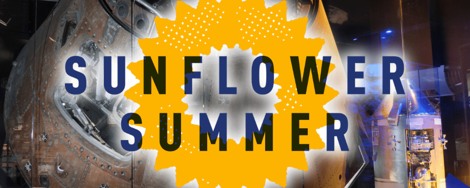 Sunflower Summer